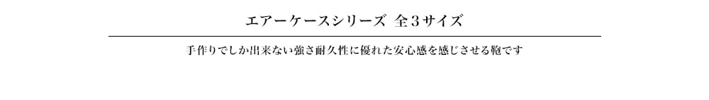 Ginza Tanizawa東京空氣盒駱駝M大小